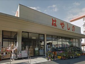 はやしの田寺店（徒歩11分/約880m）