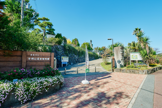 手柄山温室植物園