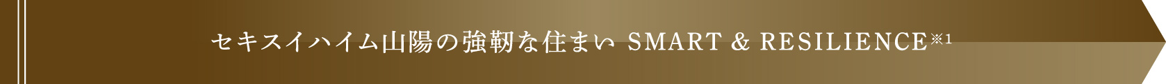 セキスイハイム近畿の強靭な住まい SMART & RESILIENCE※1