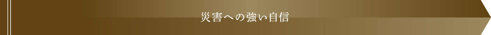 災害への強い自信