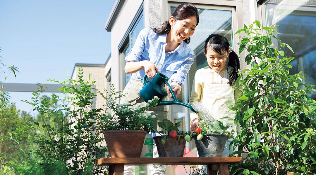 平屋シリーズ そだての家　お気に入りを飾って愉しむゆとり